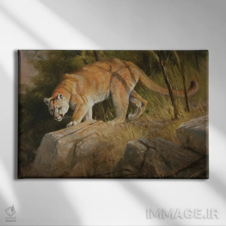 تابلو دکوراتیو کومور اثر گرانت هکینگ - نمای روبهرو روی دیوار