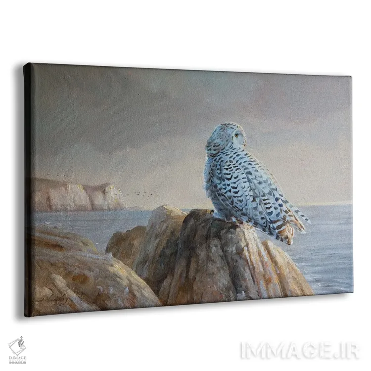 تابلو دکوراتیو طلوع روز اثر گرانت هکینگ - نمای پرسپکتیو محصول