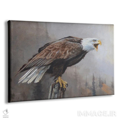 تابلو دکوراتیو انعکاس ها اثر گرانت هکینگ - نمای پرسپکتیو محصول