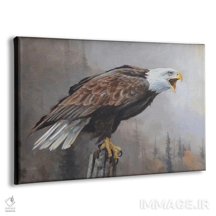 تابلو دکوراتیو انعکاس ها اثر گرانت هکینگ - نمای پرسپکتیو محصول