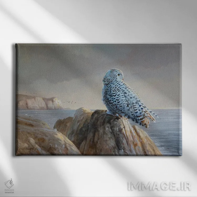 تابلو دکوراتیو طلوع روز اثر گرانت هکینگ - نمای روبهرو روی دیوار