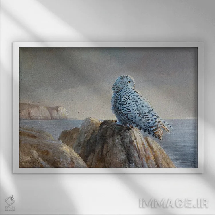 تابلو دکوراتیو طلوع روز اثر گرانت هکینگ - نمای قابدار سفید