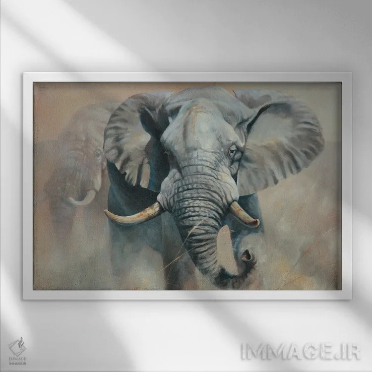 تابلو دکوراتیو فیل اثر گرانت هکینگ - نمای قابدار سفید