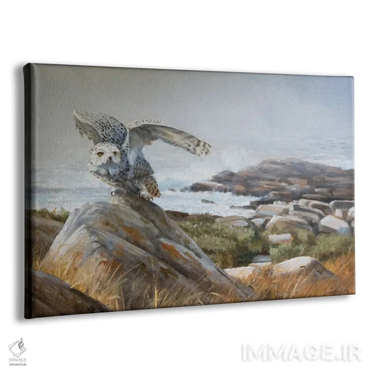 تابلو دکوراتیو از دل مه اثر گرانت هکینگ - نمای پرسپکتیو محصول