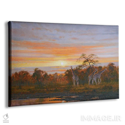 تابلو دکوراتیو زرافه ها اثر گرانت هکینگ - نمای پرسپکتیو محصول