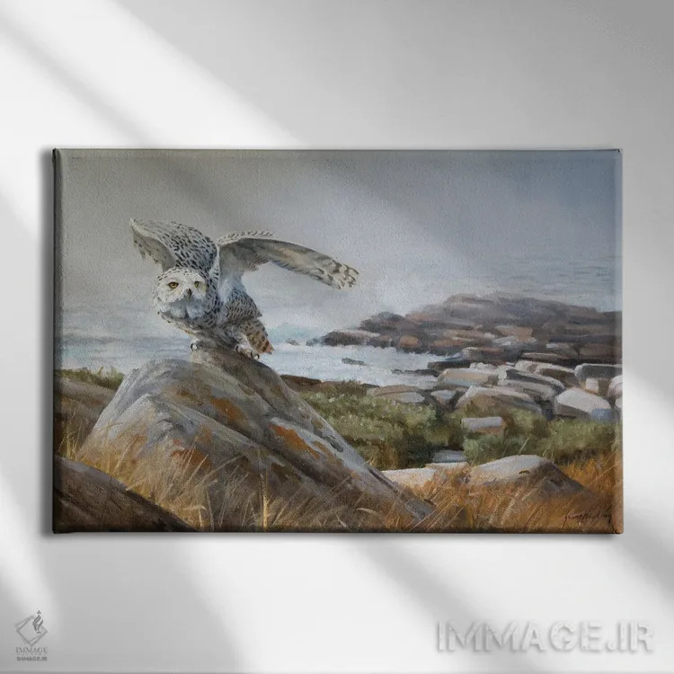 تابلو دکوراتیو از دل مه اثر گرانت هکینگ - نمای روبهرو روی دیوار