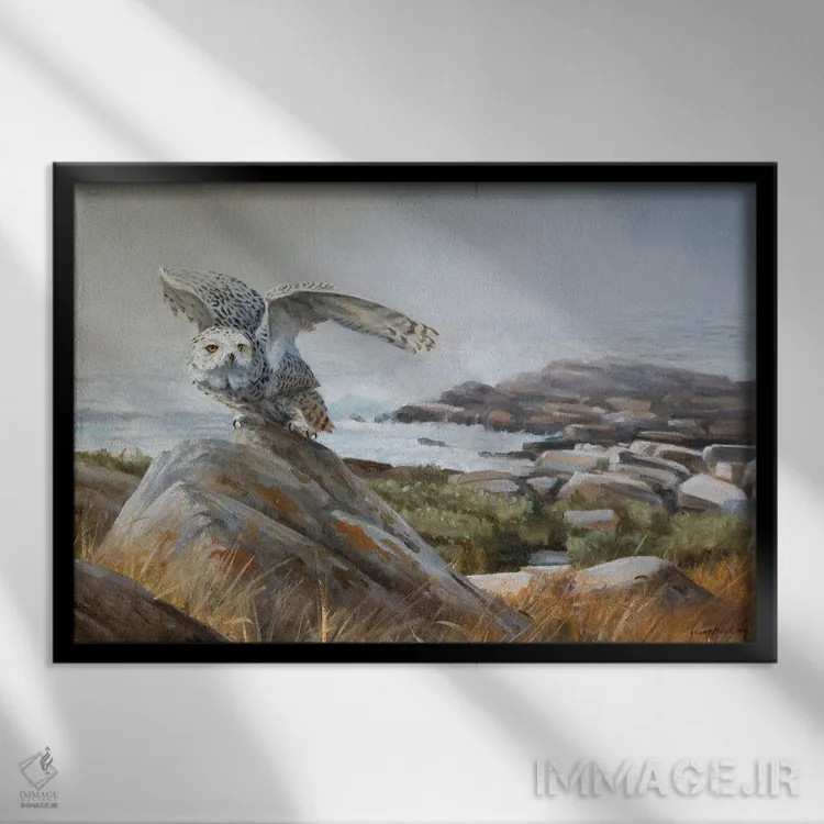 تابلو دکوراتیو از دل مه اثر گرانت هکینگ - نمای قابدار مشکی