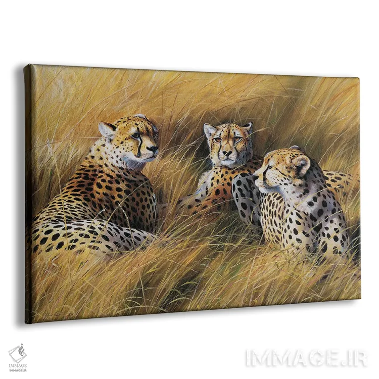 تابلو دکوراتیو یوزپلنگ های آفریقایی میان علفزار اثر گرانت هکینگ - نمای پرسپکتیو محصول