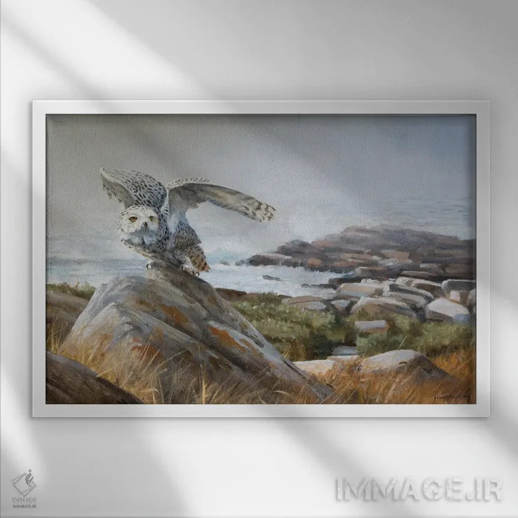 تابلو دکوراتیو از دل مه اثر گرانت هکینگ - نمای قابدار سفید