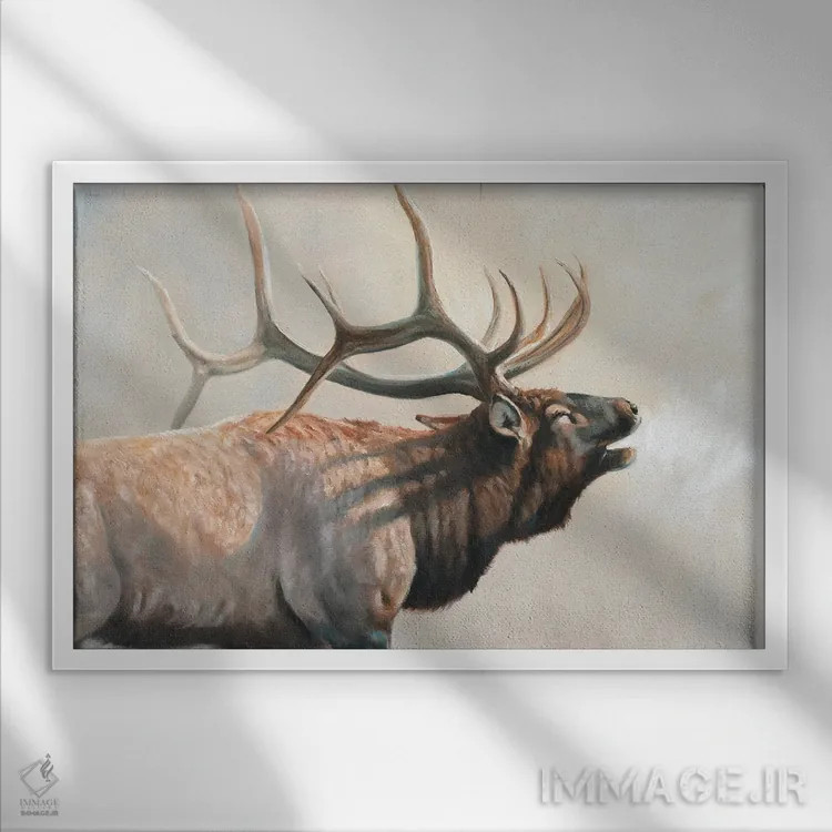 تابلو دکوراتیو به سوی خورشید اثر گرانت هکینگ - نمای قابدار سفید