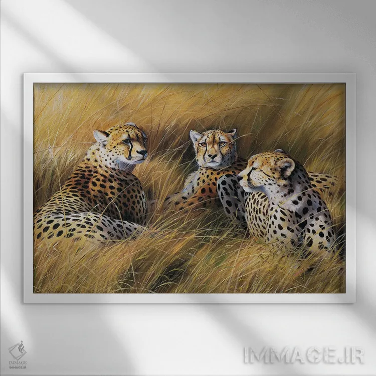 تابلو دکوراتیو یوزپلنگ های آفریقایی میان علفزار اثر گرانت هکینگ - نمای قابدار سفید