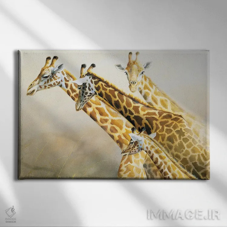 تابلو دکوراتیو زرافه ها بلندترین گردن های آفریقا اثر گرانت هکینگ - نمای روبهرو روی دیوار