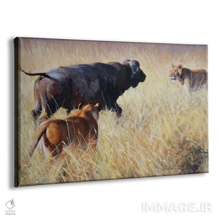 تابلو دکوراتیو شیر و گاومیش دماغه اثر گرانت هکینگ - نمای پرسپکتیو محصول