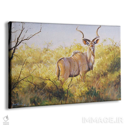 تابلو دکوراتیو کودوی بوته ای موپانه اثر گرانت هکینگ - نمای پرسپکتیو محصول