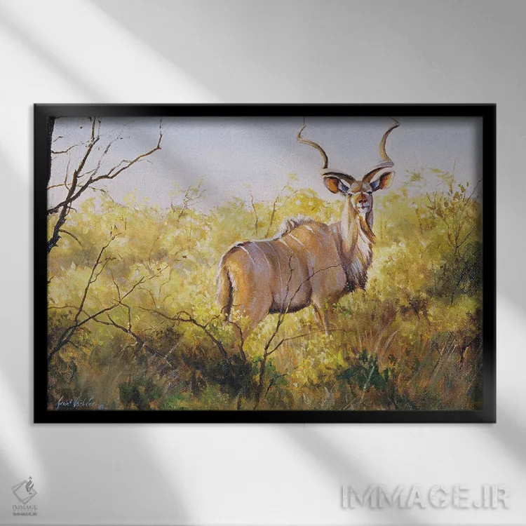 تابلو دکوراتیو کودوی بوته ای موپانه اثر گرانت هکینگ - نمای قابدار مشکی