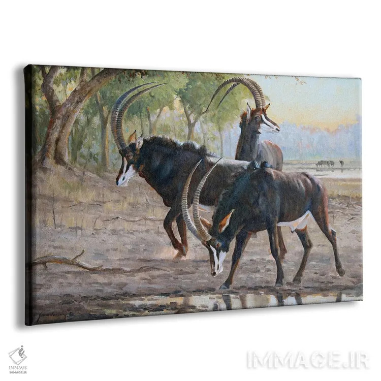 تابلو دکوراتیو تشنگی صبحگاهی اثر گرانت هکینگ - نمای پرسپکتیو محصول