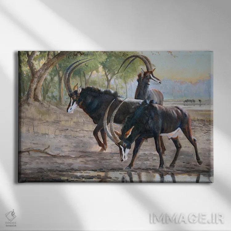 تابلو دکوراتیو تشنگی صبحگاهی اثر گرانت هکینگ - نمای روبهرو روی دیوار