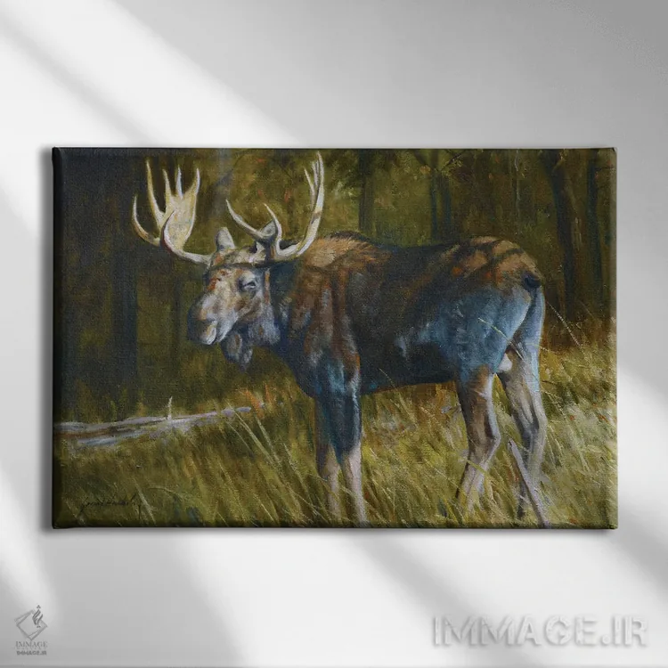 تابلو دکوراتیو گوزن شمالی اثر گرانت هکینگ - نمای روبهرو روی دیوار