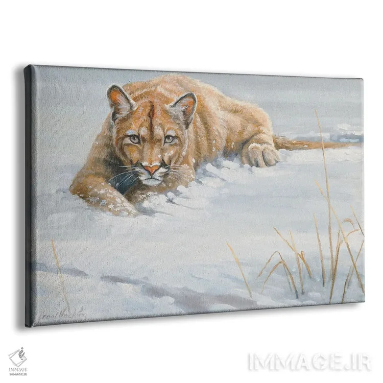 تابلو دکوراتیو پوما بدون پوشش اثر گرانت هکینگ - نمای پرسپکتیو محصول