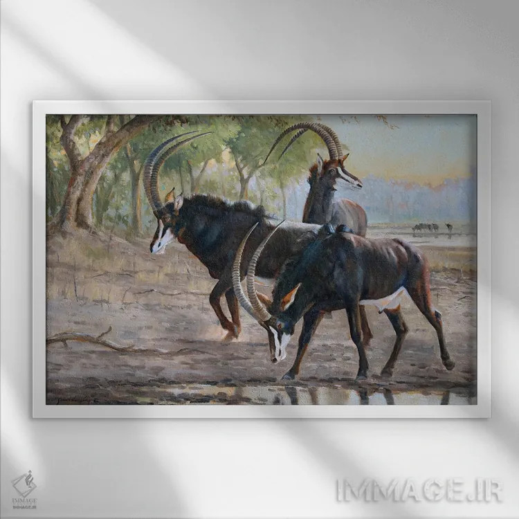 تابلو دکوراتیو تشنگی صبحگاهی اثر گرانت هکینگ - نمای قابدار سفید