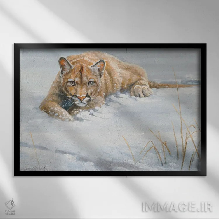 تابلو دکوراتیو پوما بدون پوشش اثر گرانت هکینگ - نمای قابدار مشکی