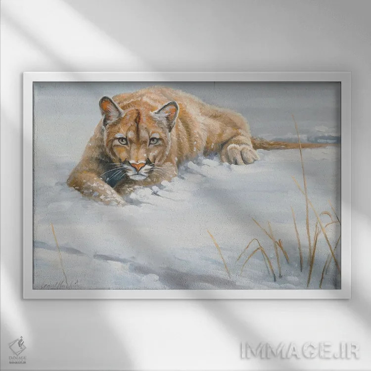 تابلو دکوراتیو پوما بدون پوشش اثر گرانت هکینگ - نمای قابدار سفید