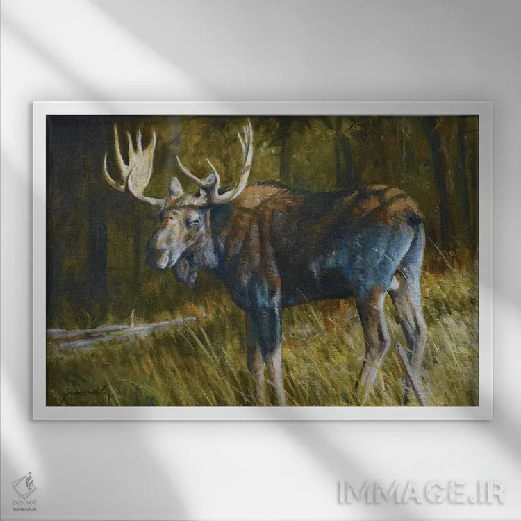 تابلو دکوراتیو گوزن شمالی اثر گرانت هکینگ - نمای قابدار سفید