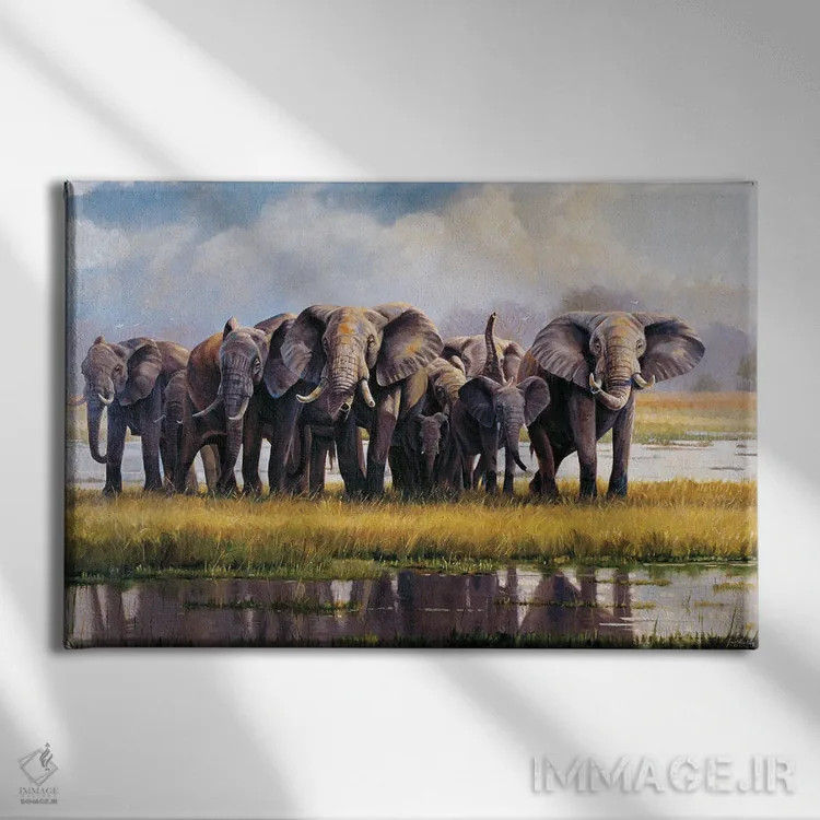 تابلو دکوراتیو فیل های آرام اثر گرانت هکینگ - نمای روبهرو روی دیوار
