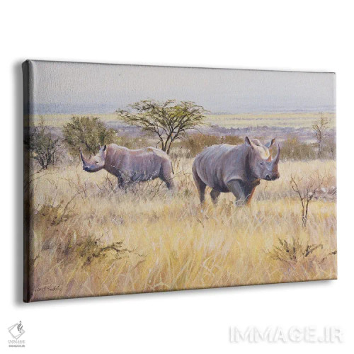 تابلو دکوراتیو کرگدن اثر گرانت هکینگ - نمای پرسپکتیو محصول