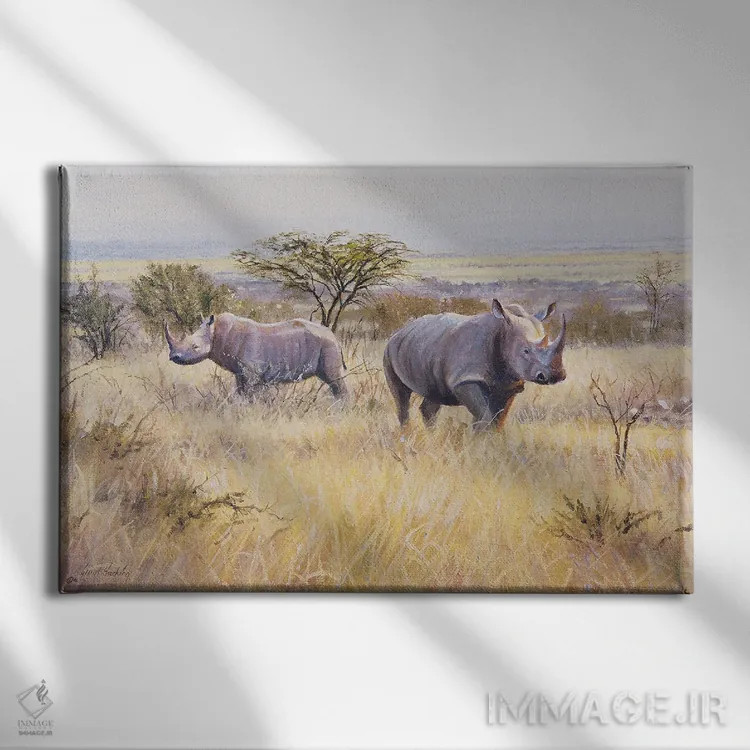 تابلو دکوراتیو کرگدن اثر گرانت هکینگ - نمای روبهرو روی دیوار