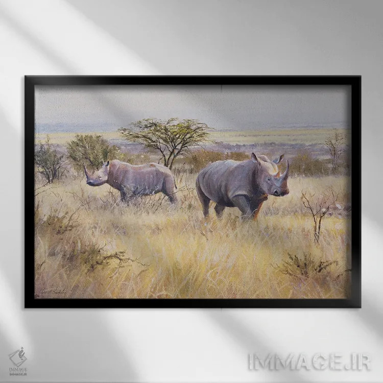 تابلو دکوراتیو کرگدن اثر گرانت هکینگ - نمای قابدار مشکی