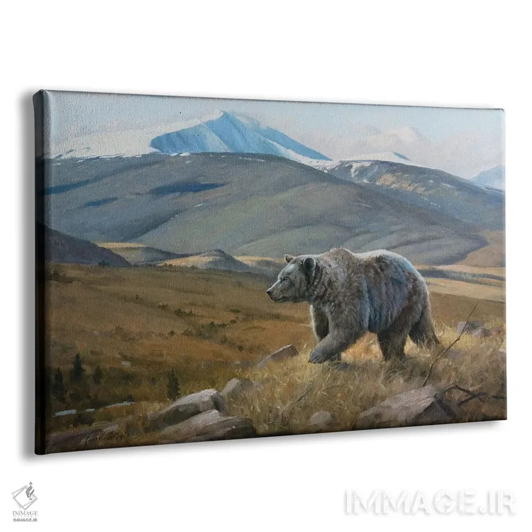 تابلو دکوراتیو خرس گریزلی با تاج برفی اثر گرانت هکینگ - نمای پرسپکتیو محصول