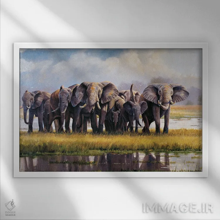 تابلو دکوراتیو فیل های آرام اثر گرانت هکینگ - نمای قابدار سفید