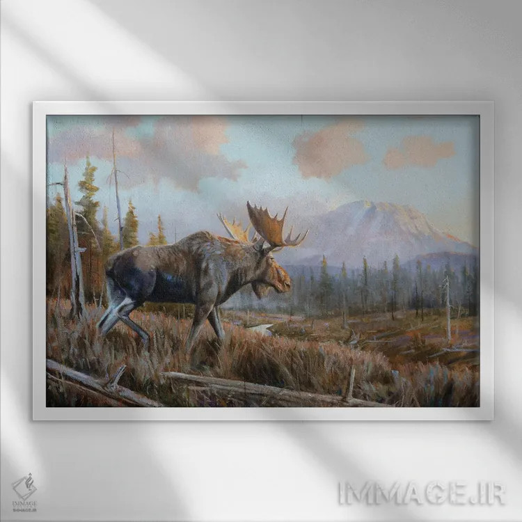 تابلو دکوراتیو شاخ های آفتاب تابیده اثر گرانت هکینگ - نمای قابدار سفید