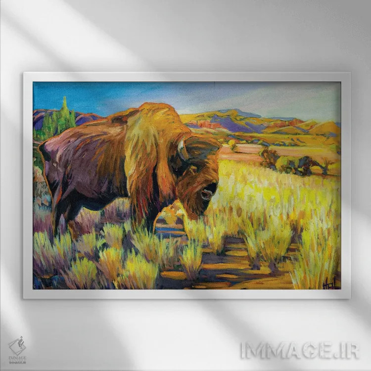 تابلو دکوراتیو بوفالوی تنها اثر گرگ هایل - نمای قابدار سفید