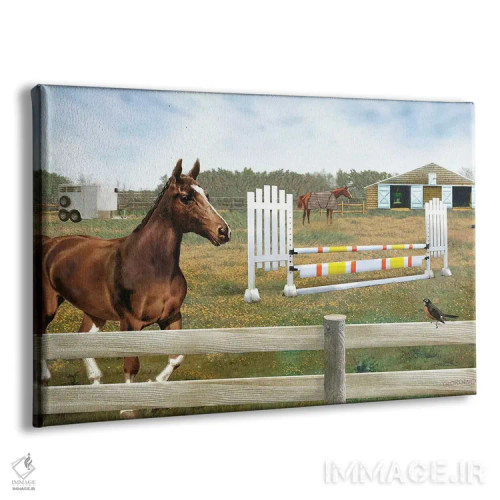 تابلو دکوراتیو تمرین برای وینی اثر جوردانو استودیو - نمای پرسپکتیو محصول