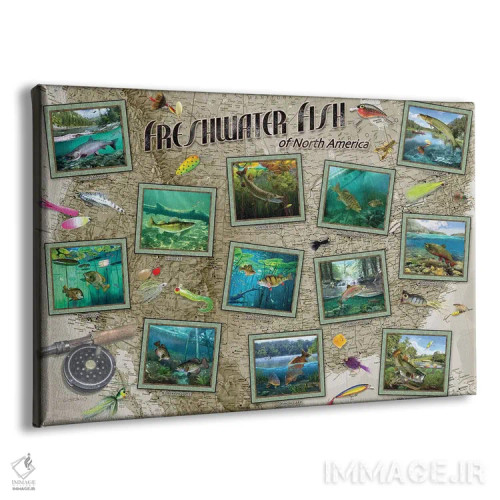 تابلو دکوراتیو ماهی های آمریکای شمالی اثر جوردانو استودیو - نمای پرسپکتیو محصول