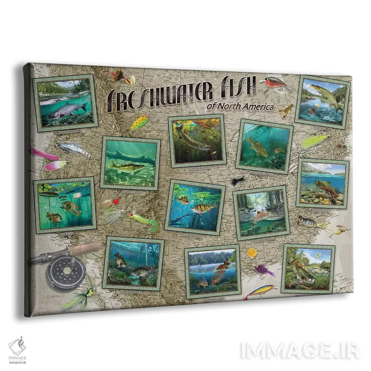 تابلو دکوراتیو ماهی های آمریکای شمالی اثر جوردانو استودیو - نمای پرسپکتیو محصول
