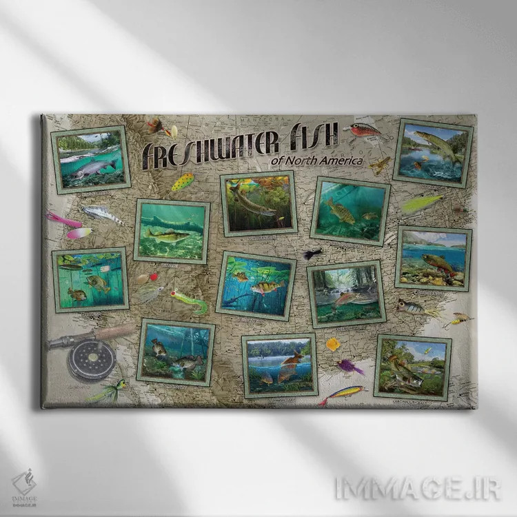تابلو دکوراتیو ماهی های آمریکای شمالی اثر جوردانو استودیو - نمای روبهرو روی دیوار