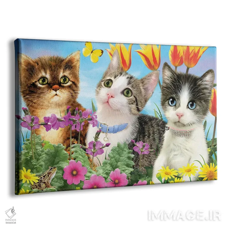 تابلو دکوراتیو سه قلوی گربه ای اثر جوردانو استودیو - نمای پرسپکتیو محصول