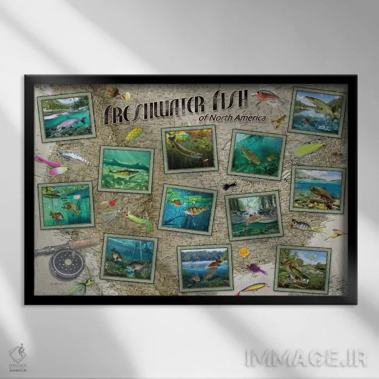 تابلو دکوراتیو ماهی های آمریکای شمالی اثر جوردانو استودیو - نمای قابدار مشکی
