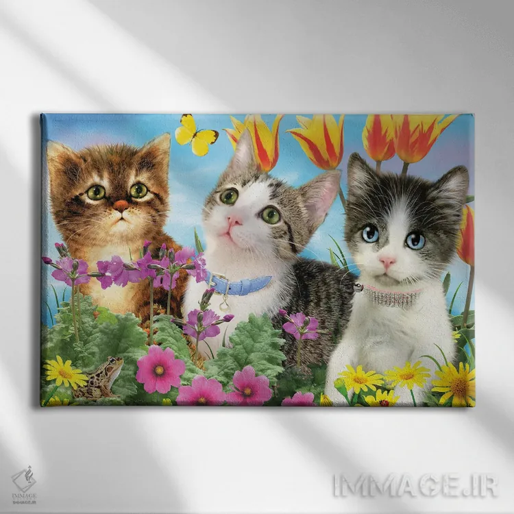 تابلو دکوراتیو سه قلوی گربه ای اثر جوردانو استودیو - نمای روبهرو روی دیوار