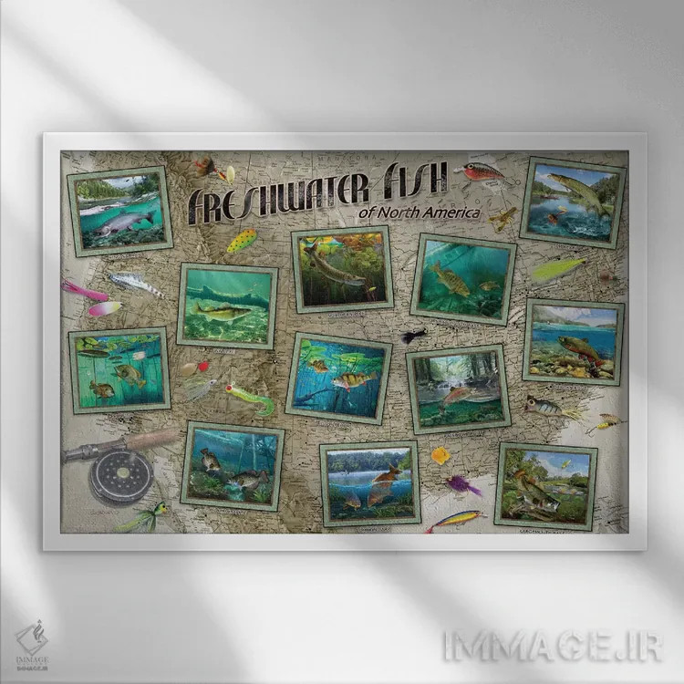 تابلو دکوراتیو ماهی های آمریکای شمالی اثر جوردانو استودیو - نمای قابدار سفید