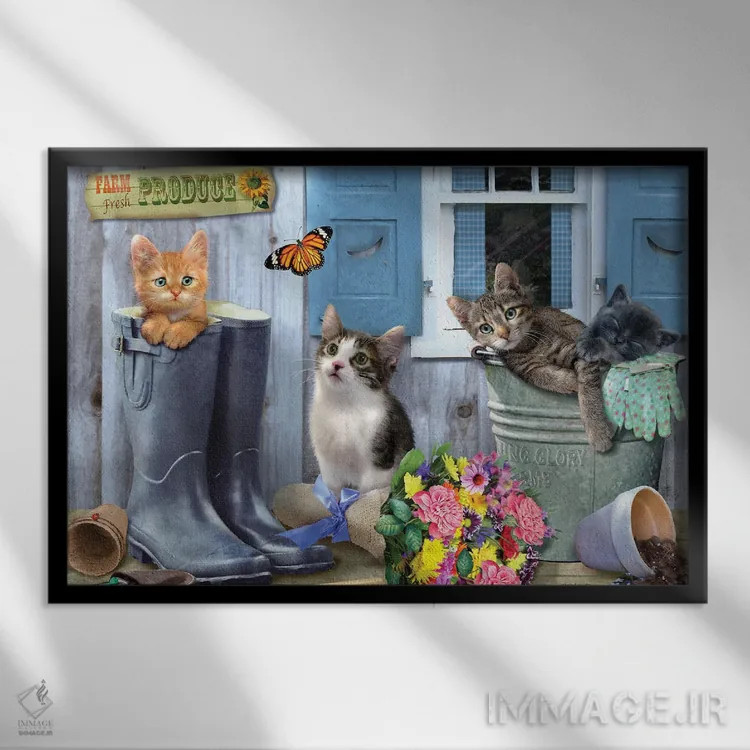 تابلو دکوراتیو گربه های باغچه اثر جوردانو استودیو - نمای قابدار مشکی