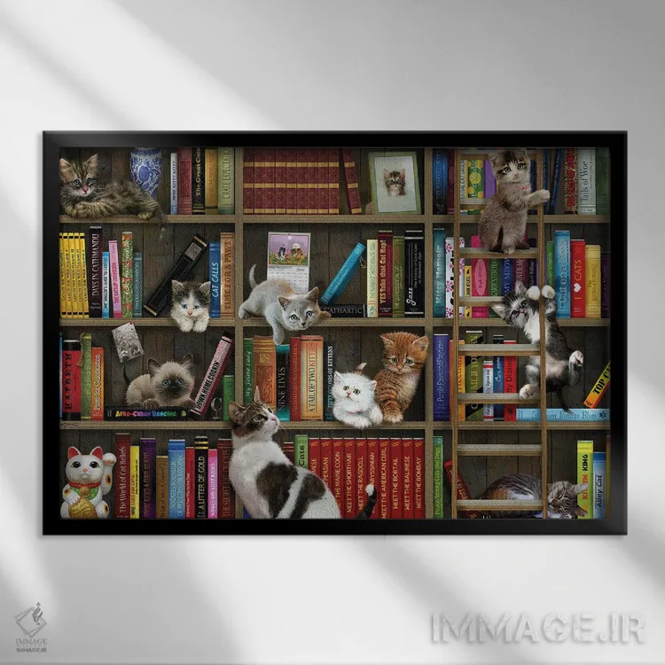 تابلو دکوراتیو گربه های کتاب خانه ای اثر جوردانو استودیو - نمای قابدار مشکی