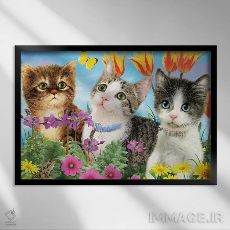 تابلو دکوراتیو سه قلوی گربه ای اثر جوردانو استودیو - نمای قابدار مشکی
