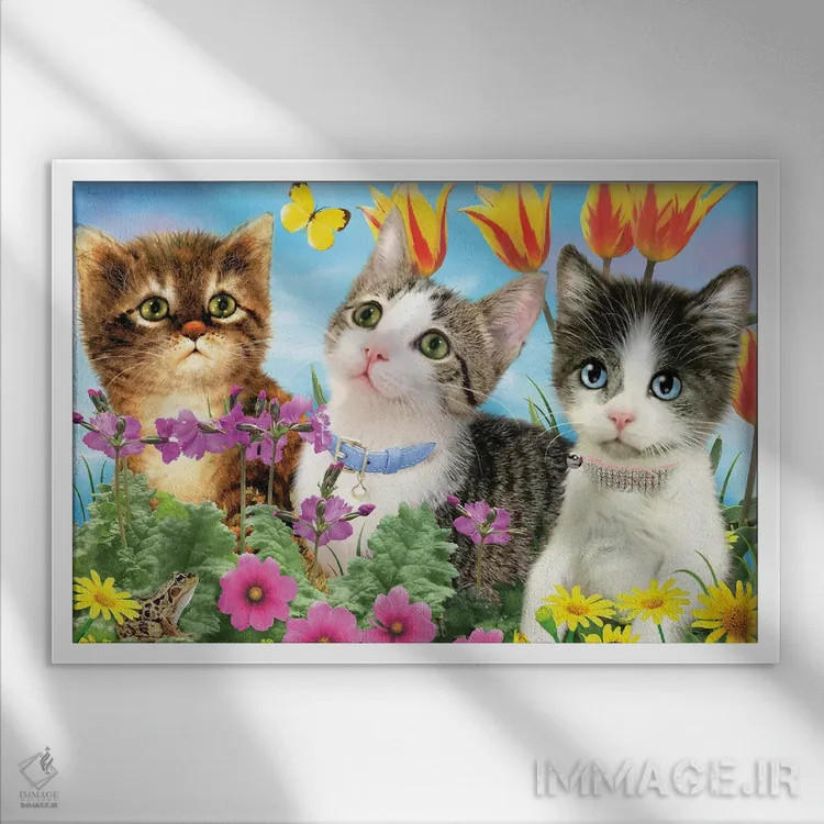 تابلو دکوراتیو سه قلوی گربه ای اثر جوردانو استودیو - نمای قابدار سفید