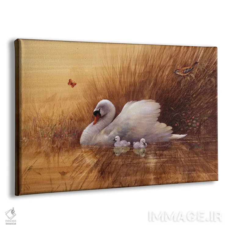 تابلو دکوراتیو بچه قوهای تابستانی اثر جوردانو استودیو - نمای پرسپکتیو محصول