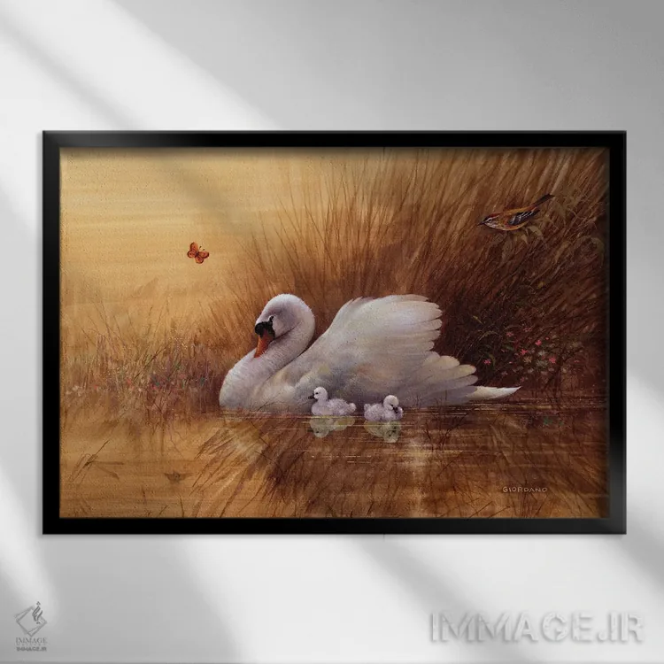 تابلو دکوراتیو بچه قوهای تابستانی اثر جوردانو استودیو - نمای قابدار مشکی