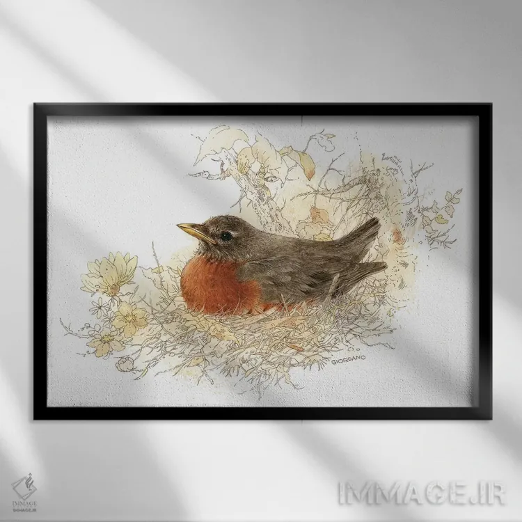 تابلو دکوراتیو طرح روبین اثر جوردانو استودیو - نمای قابدار مشکی